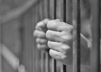 voiceformenindia.com