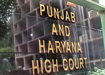 voiceformenindia.com