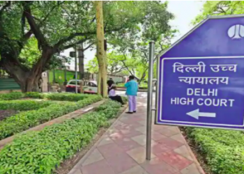 voiceformenindia.com