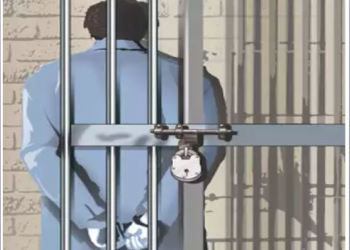 voiceformenindia.com