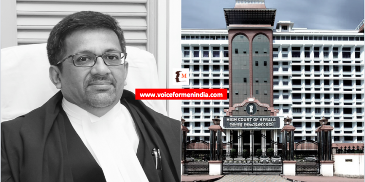 voiceformenindia.com