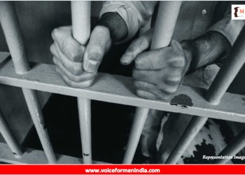 voiceformenindia.com