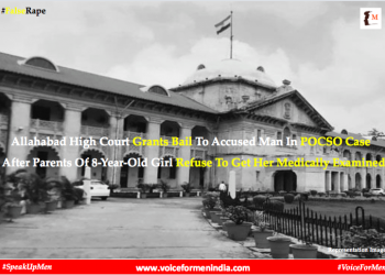 voiceformenindia.com