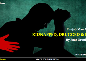 voiceformenindia.com