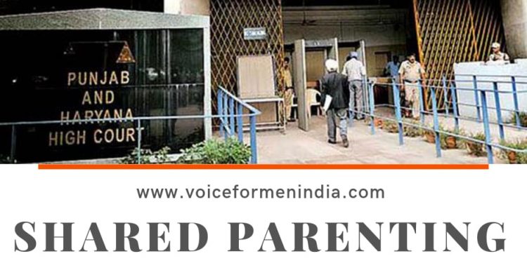 voiceformenindia.com