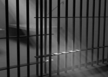 voiceformenindia.com