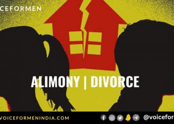 voiceformenindia.com