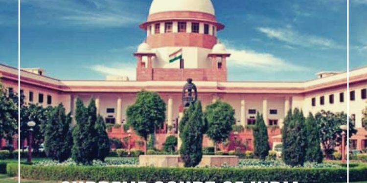 voiceformenindia.com