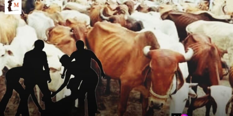 voiceformenindia.com