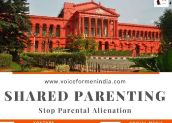 voiceformenindia.com