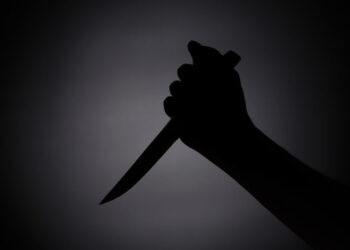 voiceformenindia.com