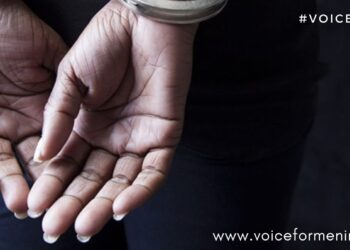 voiceformenindia.com