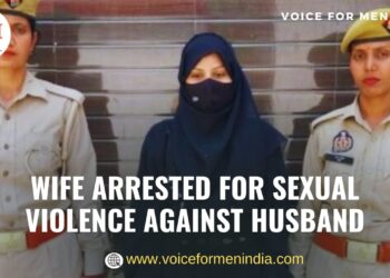 voiceformenindia.com